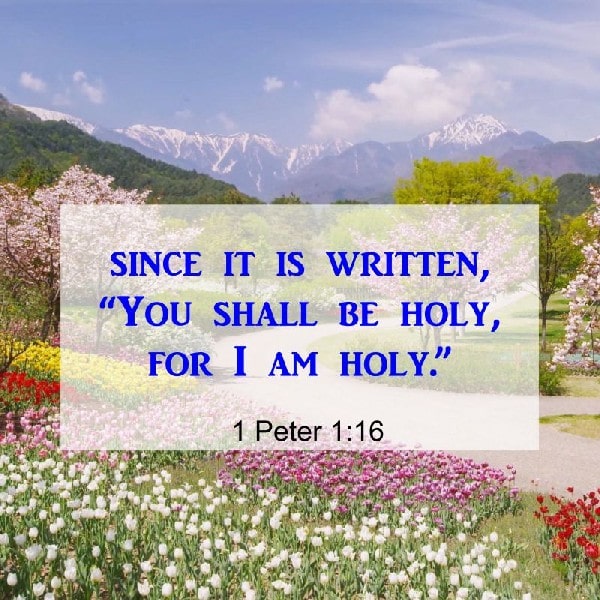 1 Peter 1:16
