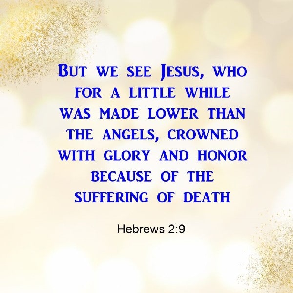 Hebrews 2:9