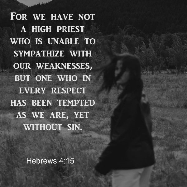 Hebrews 4:15