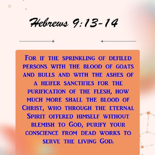Hebrews 9:13-14
