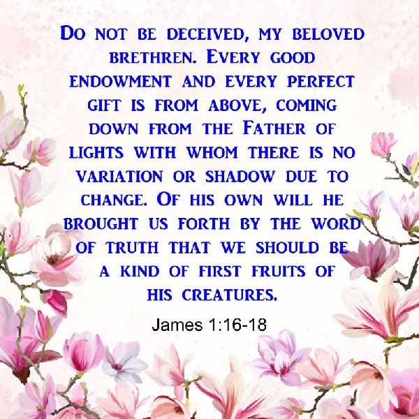 James 1:16-18