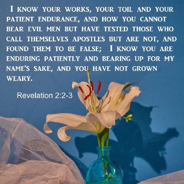 Revelation 2:2-3