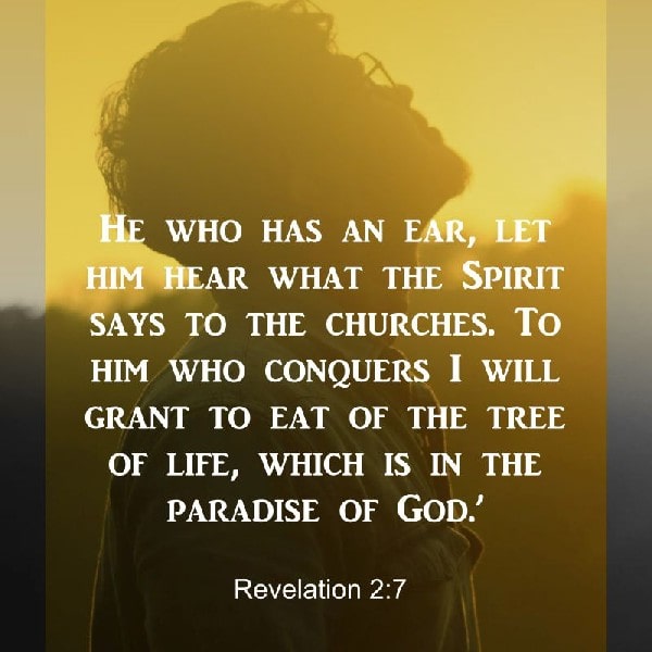 Revelation 2:7