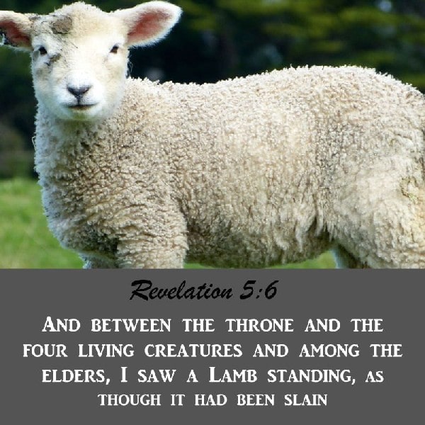 Revelation 5:6