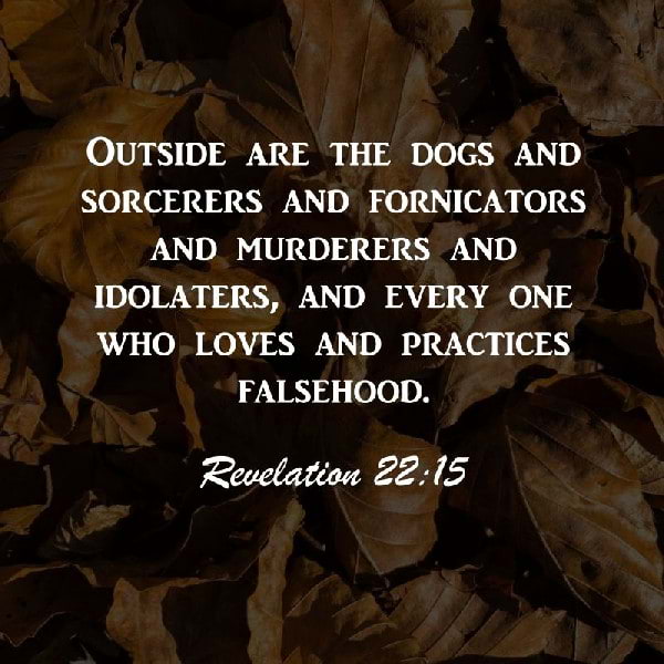 Revelation 22:15