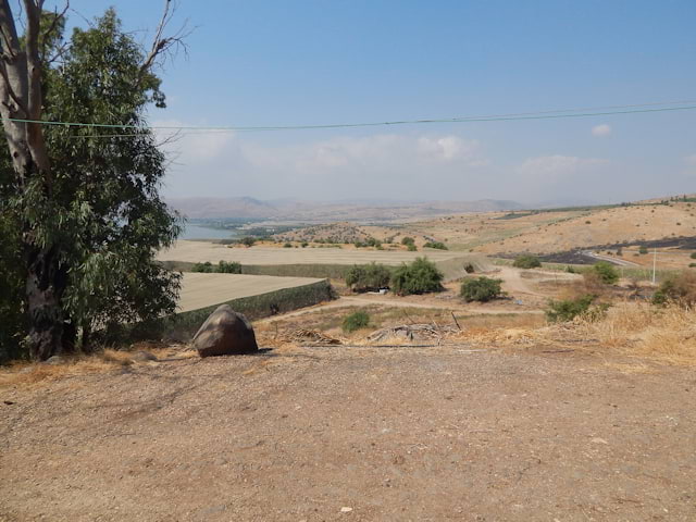 Jesus was led into the desert